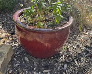 Large Red Pot