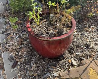 Large Red Pot