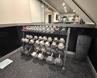 GYM WEIGHTS AND STAND