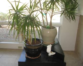 Large Potted Plants For Sale. 2-Piece Triangular-Platforms on Wheels, 37" X 37". Suitable for Tables, Art Work Display, Use Individually or Together. You Decide...