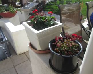 Potted Plants Galore, Many Selections and Perfect Time of the Year!