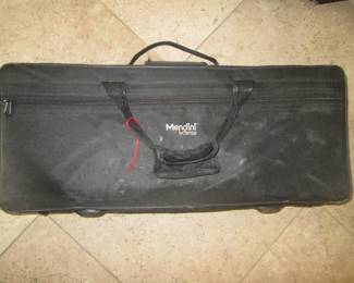 Saxophone Case