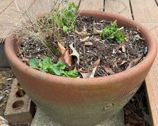 Terracotta Flower Pot