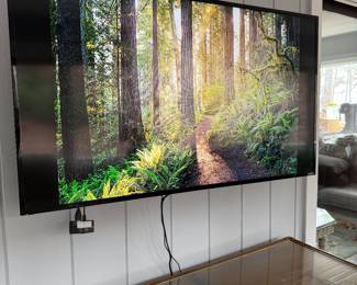 2018 Vizio TV Model#D50f-F1