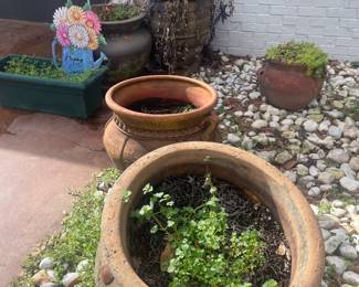 Large Terra cotta pots