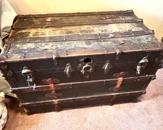 Three distinctive trunks