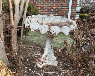 Bird Bath
