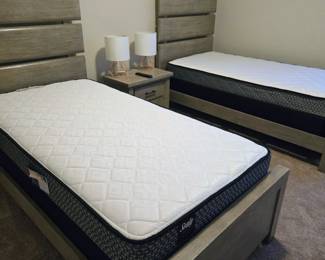 Pair of Grayson Youth Beds (immaculate)