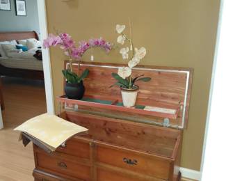 Beautiful Lane Hope chest!