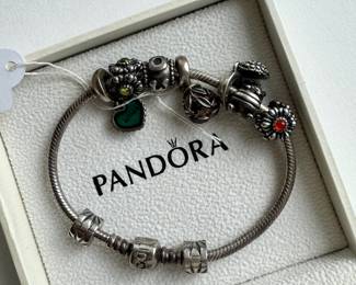Pandora Bracelet 