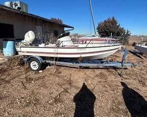Kessling Center Console Fiberglass Boat on Single-Axle Trailer with Johnson 50 HP Outboard Motor
