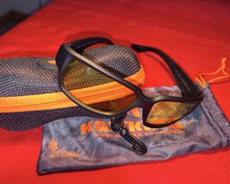 KastKing Night Driving Glasses W/Case!
