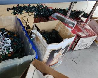 Christmas Lights. LOTS of Christmas Lights!