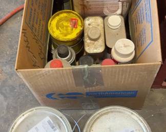 Garage Chemicals and Paint