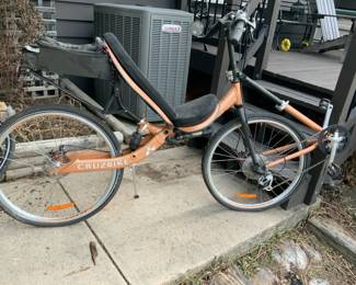 Cruzbike Recumbent Bike