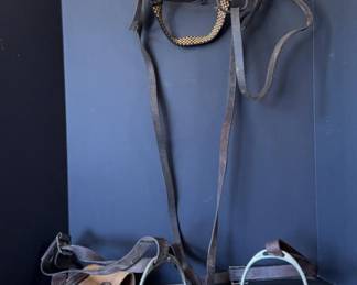 Horse Bridle Stirrups