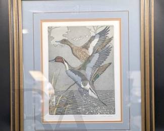 FRAMED DUCK DECOR