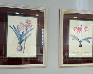 Matted and Framed Prints - Botanical Lily Flowers - Pierre-Joseph Redoute 