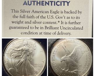 American Silver Eagle Coin