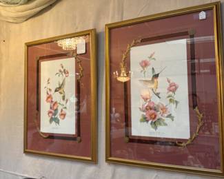 beautiful framed hummingbird prints