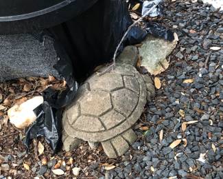 Concrete turtle