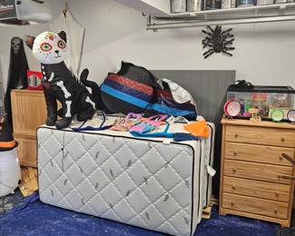 Twin Beds w new mattress