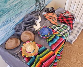 Dog Outfits and carriers