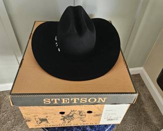 Stetson Hat