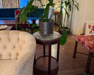 Marble top Table, Plant