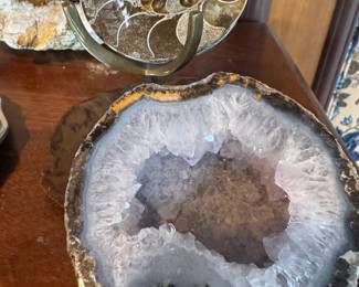 Ammonite Conch Crystal