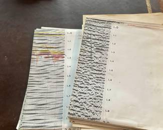 Looks like theirs seismic activity 