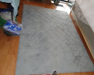 Grey area carpet