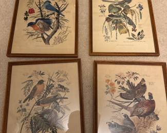 Lovely set of 4 botanical/bird prints