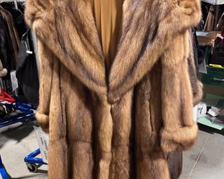 Golden Russian Barguzinsky sable stroller with turnback cuffs and large collar