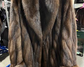 Very rare Russian Barguzinsky Sable Stroller