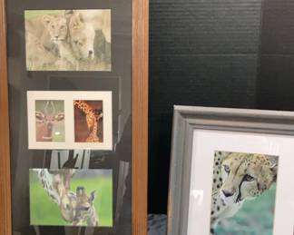 Animal Photography Prints 2 Framed