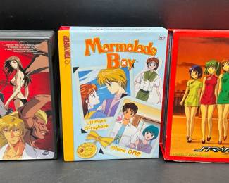 Anime DVD's