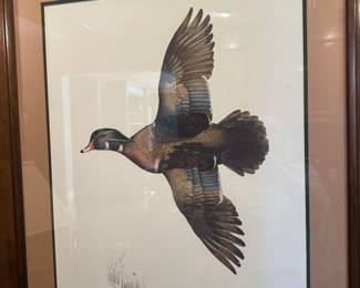 Michael Collin's signed art