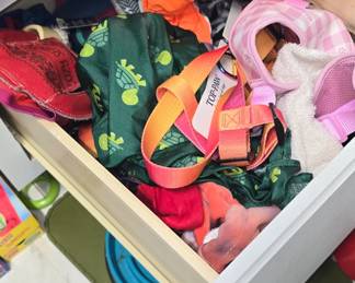 Dog Leashes and Collars