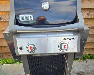 Weber BBQ Pit