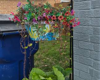 Hanging Baskets
