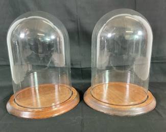 Large Glass Cloche Domes