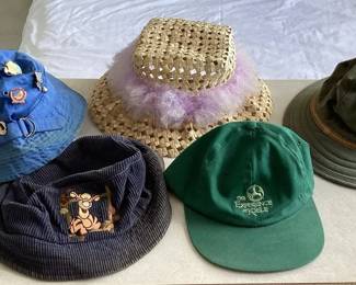 PPM083 Five Fun Hats