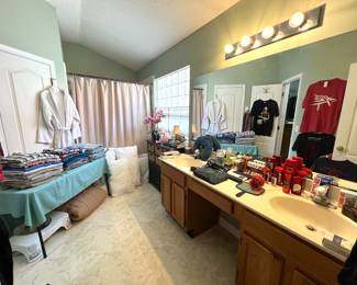 View of Master Bathroom 