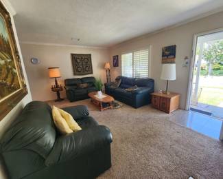 Sofa bed + Love Seat + Oversized Chair (coordinating leather set)