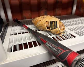 6118 Easton Baseball Bat and Wilson Glove