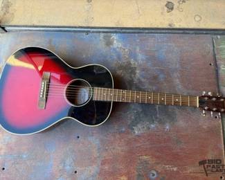 6012 Johnson Acoustic Guitar