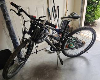 Saris Bike