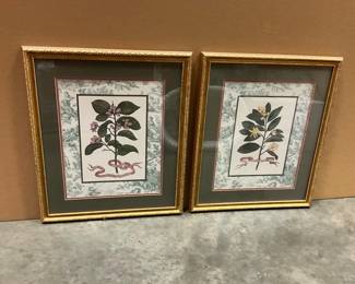 Botanical Prints 