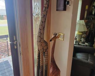 Very tall giraffes 🦒 